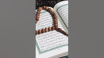 من أجمل ما قرأ القارئ أمين موسى. ج٤٥