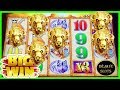 LIVE PLAY Panda King High limit slot machine w bonus