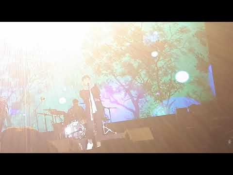 라임트리 페스티벌(LIME TREE FESTIVAL)버즈 나무