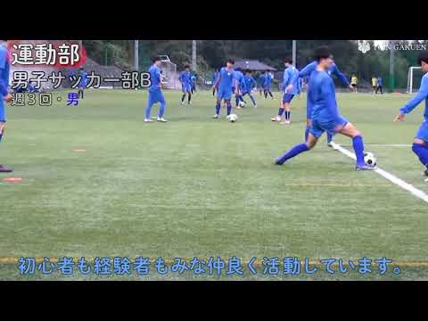 【桐蔭学園高校】2021年度 部活動紹介１