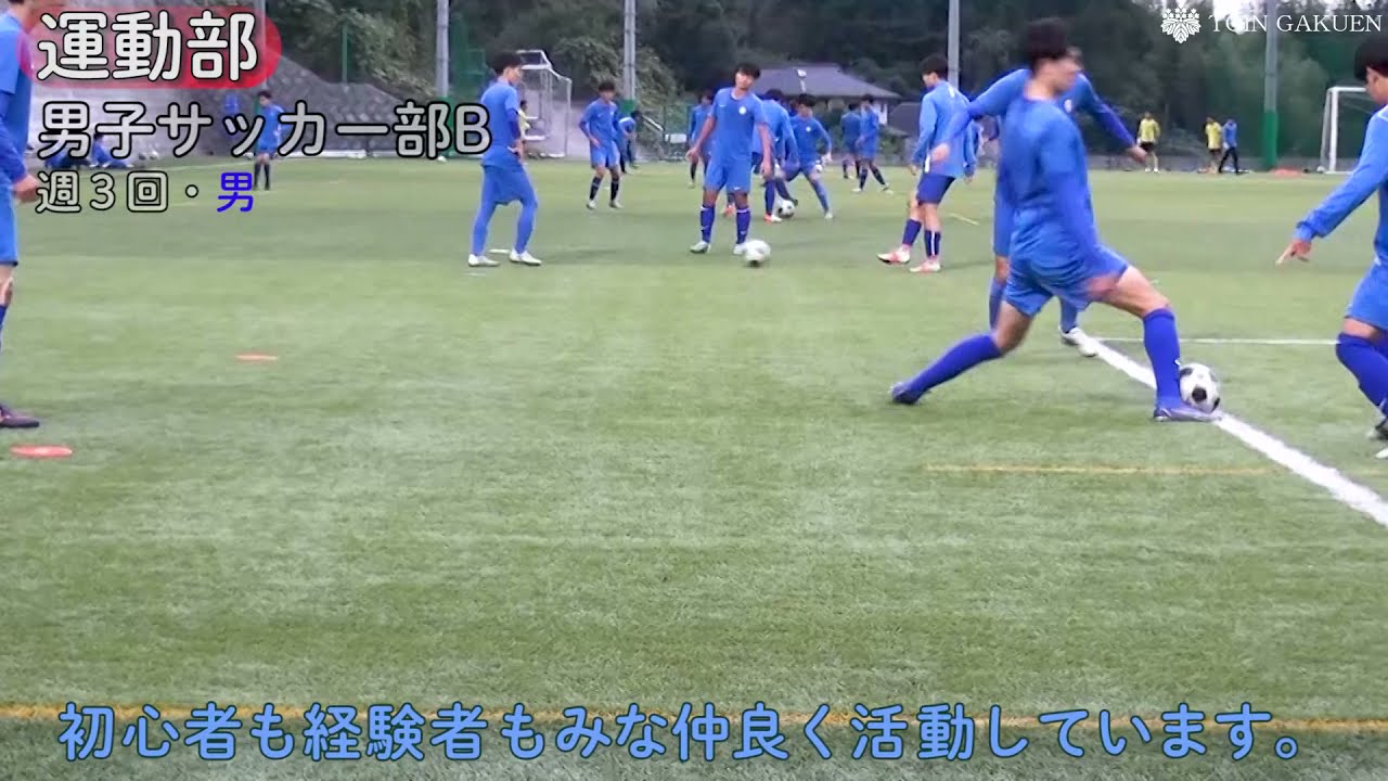 桐蔭学園高校 サッカー部 大学 上下 セット 桐蔭学園高校