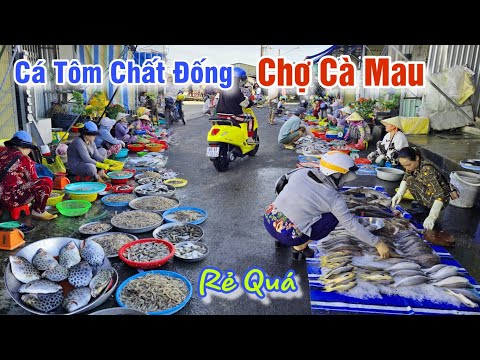 CÀ MAU MƯA TO NHƯ TRÚT NƯỚC - CÁ TÔM CHẤT ĐỐNG GIÁ RẺ Ở CHỢ PHƯỜNG 7 CÀ MAU