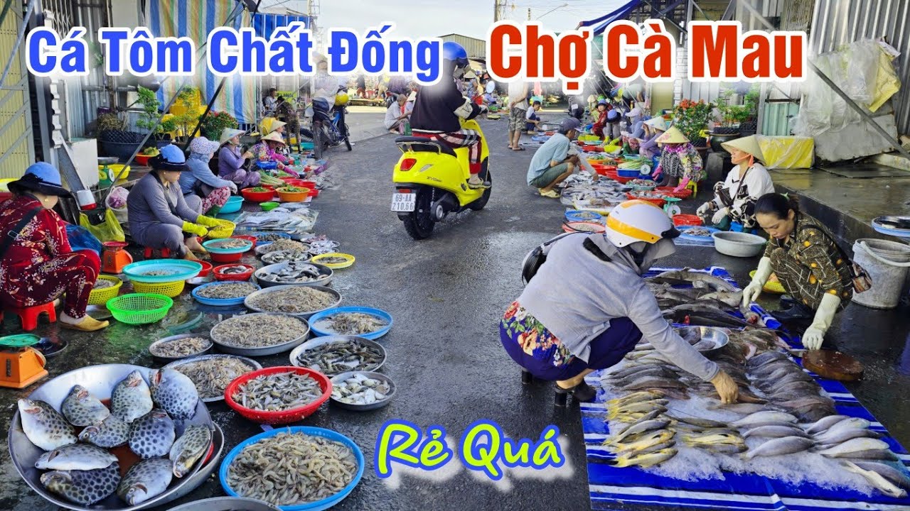 CÀ MAU MƯA TO NHƯ TRÚT NƯỚC - CÁ TÔM CHẤT ĐỐNG GIÁ RẺ Ở CHỢ PHƯỜNG 7 CÀ MAU