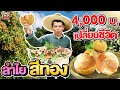 #ดาว เกษตรลำไยสีทอง เริ่มต้นจากเงินแค่ 4,000 บาท ! | SUPER100