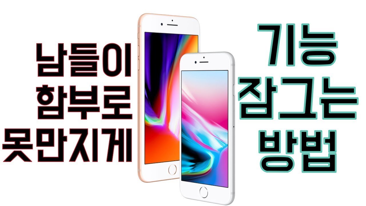 남이 내 아이폰 아이패드 함부로 못쓰게 기능 잠그는 방법 iphone guided access 