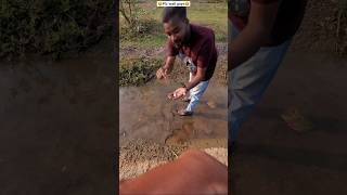 The Fish Lived In Waterthanks God