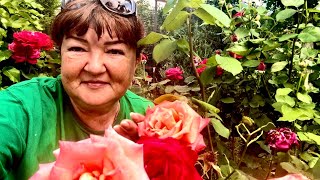 Друзья, ПРИЕЗЖАЙТЕ в Тайган, если вы в Крыму❤️