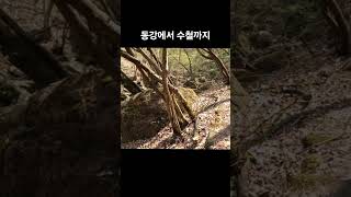 #최고의계곡길 #지리산둘레길 #동강수철 #계곡여행 #산청여행 #지리산둘레길5코스 #heotraveldiary