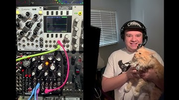 Rambling About: Mutable Instruments Blades with tafony