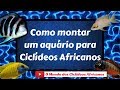 Como montar um aquario ideal para ciclídeos africanos