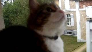 DSCF3171.AVI