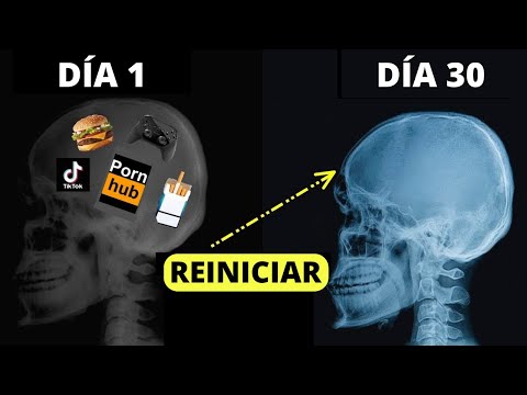 ¿Cómo Cambia Tu Vida Después De Conseguir Un Trabajo?