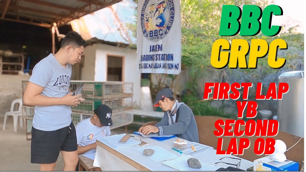 GUMACA QUEZON GRPC-BBC FIRST LAP YOUNG BIRD SECOND LAP OLD BIRD 2025-2026 