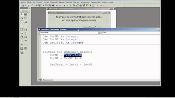 uso de Variables en visual basic