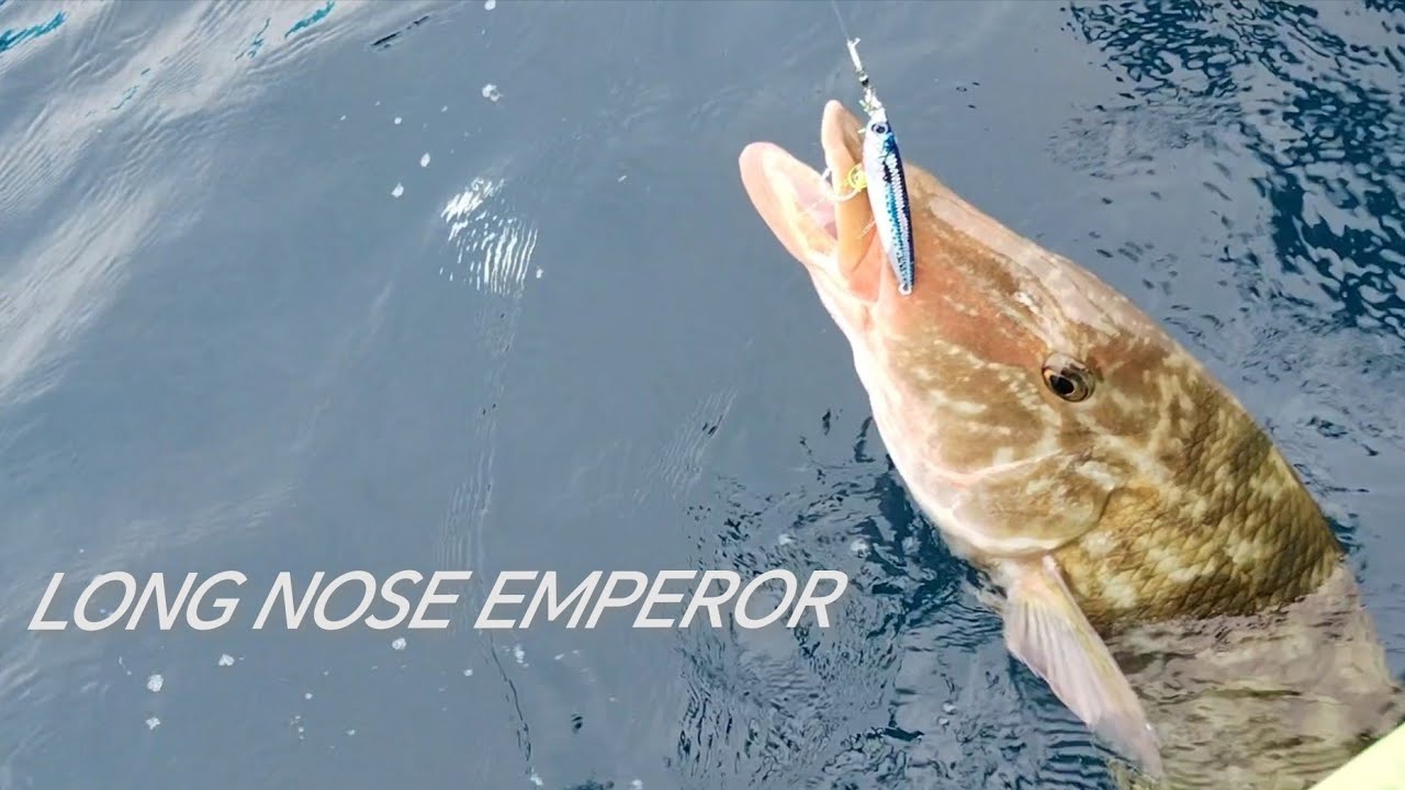 SUNOD SUNOD ANG DAWI NILA AYOS NANAMAN ANG PANG ULAM/LIGHT SET UP LANG MALAKAS... 