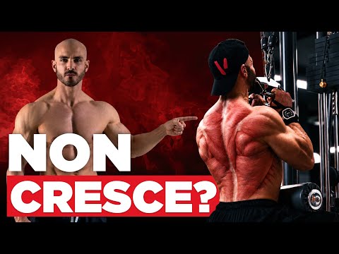 Back Not Growing? The Ultimate Guide to Getting Huge!