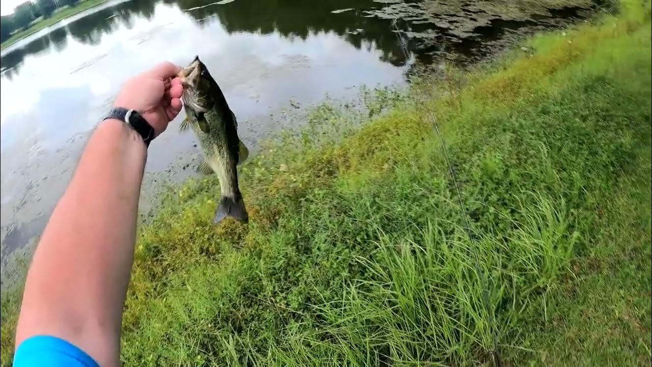 Mr Crappie Slab Shaker catching fish like crazy 