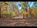 337 County Road 354, Broaddus, Texas 75929 San Augustine County