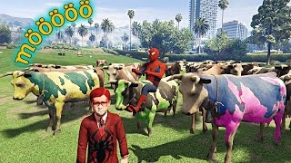 Örümcek Adam İnek Binmeye Gidiyor Şimşek Ve Örümcek Çocukla Beraber Çizgi Film Gibi Yeni Bölüm