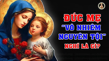 TƯỚC HIỆU ĐỨC MẸ VÔ NHIỄM NGUYÊN TỘI NGHĨA  LÀ GÌ? |  Lễ Kính Ngày 08.12