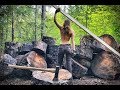 Girl in the Forest | Living Off Grid - A Day In My Life - Ep.37