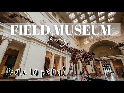 Video: Resumen del campus del museo de Chicago