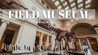 VISITAMOS EL MUSEO DE HISTORIA NATURAL EN CHICAGO ¿VALE LA PENA? | FIELD MUSUEM