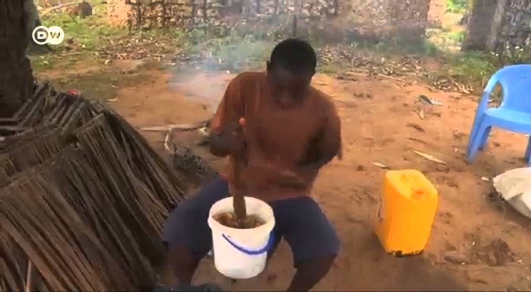 Biashara ya ufugaji nyuki Kenya