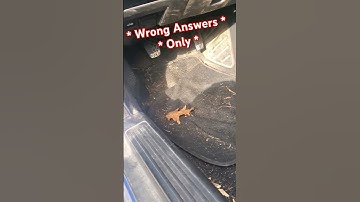 Wrong Answers Only: Help A Brother Out! #idiot #wronganswersonly #automobile #mechanic