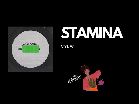 VYLW STAMINA LYRIC VIDEO