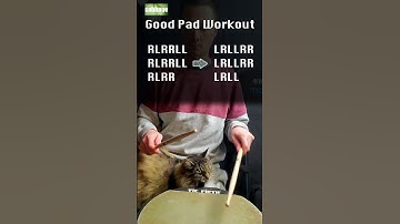rudiment cat #rudiments #paradiddlediddle #paradiddle #drums #cats #cat #practicepad #drumming