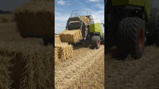 #farm4