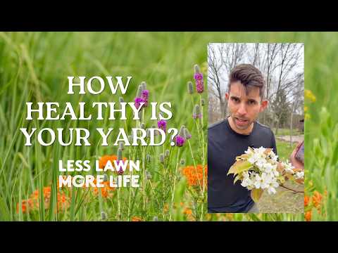 🚀 Week 1: GET YOUR SCORE with Farmer Nick — Less Lawn More Life Challenge