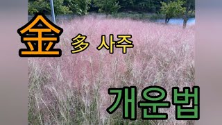 금다 사주 개운법 특성