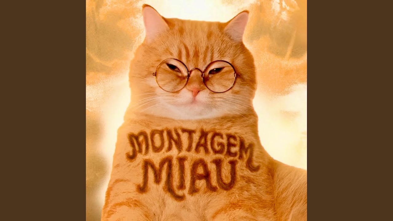 MONTAGEM MIAU