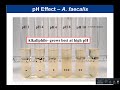 Lab 2-10 and 2-11: Osmotic Pressure and pH