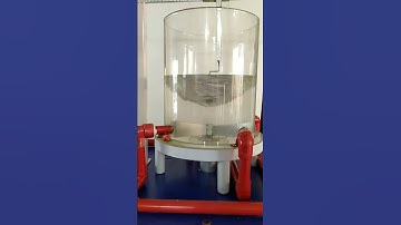 free and forced vortex flow apparatus
