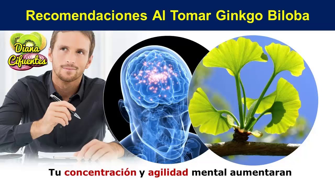 los hipertensos pueden tomar ginkgo biloba