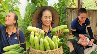 Cucumber Season Has Arrived: A Bay Is Seriously Ill, Will He Have To Be Hospitalized? |BayNguyen