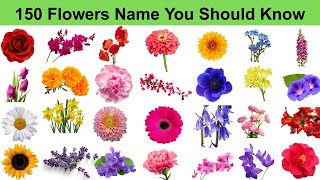 Master the Names of 150 Flowers