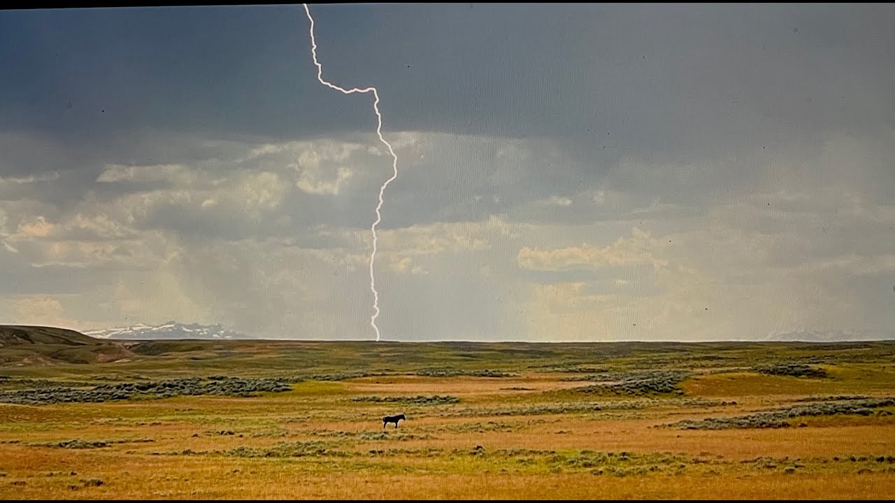 Wild Horses of America S1 Ep 4 McCullough Peaks Lightening Storm in Wyoming by Karen King