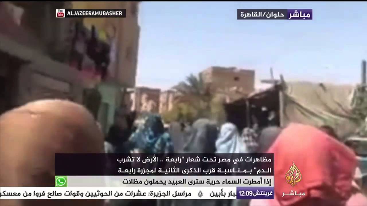 متظاهرة مصرية: "اللي هيسكت على إعدامهم.. يبقة شريك اللي قتلهم"
