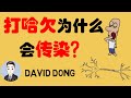 【David科普】為什麼打哈欠會傳染？看完這幾種假說你打了幾個哈欠呢？