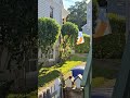 Flash 15s LandScaped Backyard 2025 Flash 15s LandScaped Backyard 2025