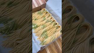 Espaguete bicolor artesanal 🍝💚