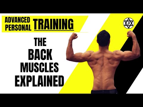 Back Muscles Group (Advanced Personal Training Course)