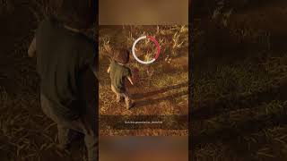 How To Trap That Window On Family House