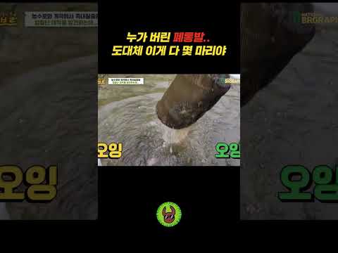 누가 버려논 폐통발에서...<strong>대박이네</strong>~~ #긴쇼츠 #통발 #쇼츠