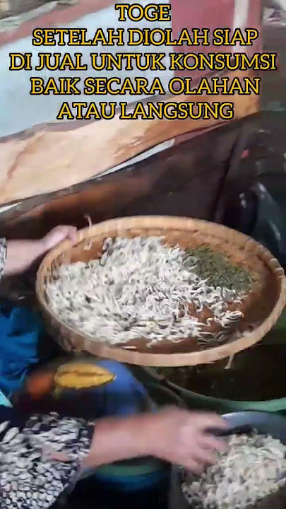 TOGE SIAP UNTUK DISAJIKAN SEBAGAI MAKANAN TAMBANAHAN DI MENU LAINNYA
