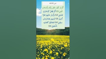 سورة الفيل أحمد العجمي #alquran #اكسبلور #قرآن_كريم #المصحف